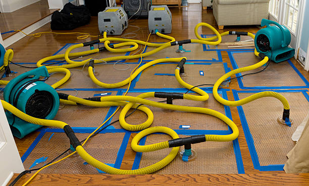 Professional Water Damage Restoration technician working in Richwood, TX
